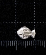 T12-06 硫化小魚(橫穿) (2入)