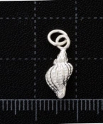 T16-06 白銀神奇海螺